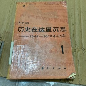 历史在这里沉思———1966———-1976年记实第一卷