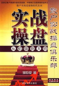 实战操盘从初级到大师