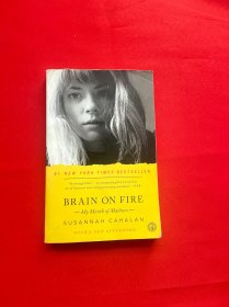 Brain on Fire：My Month of Madness