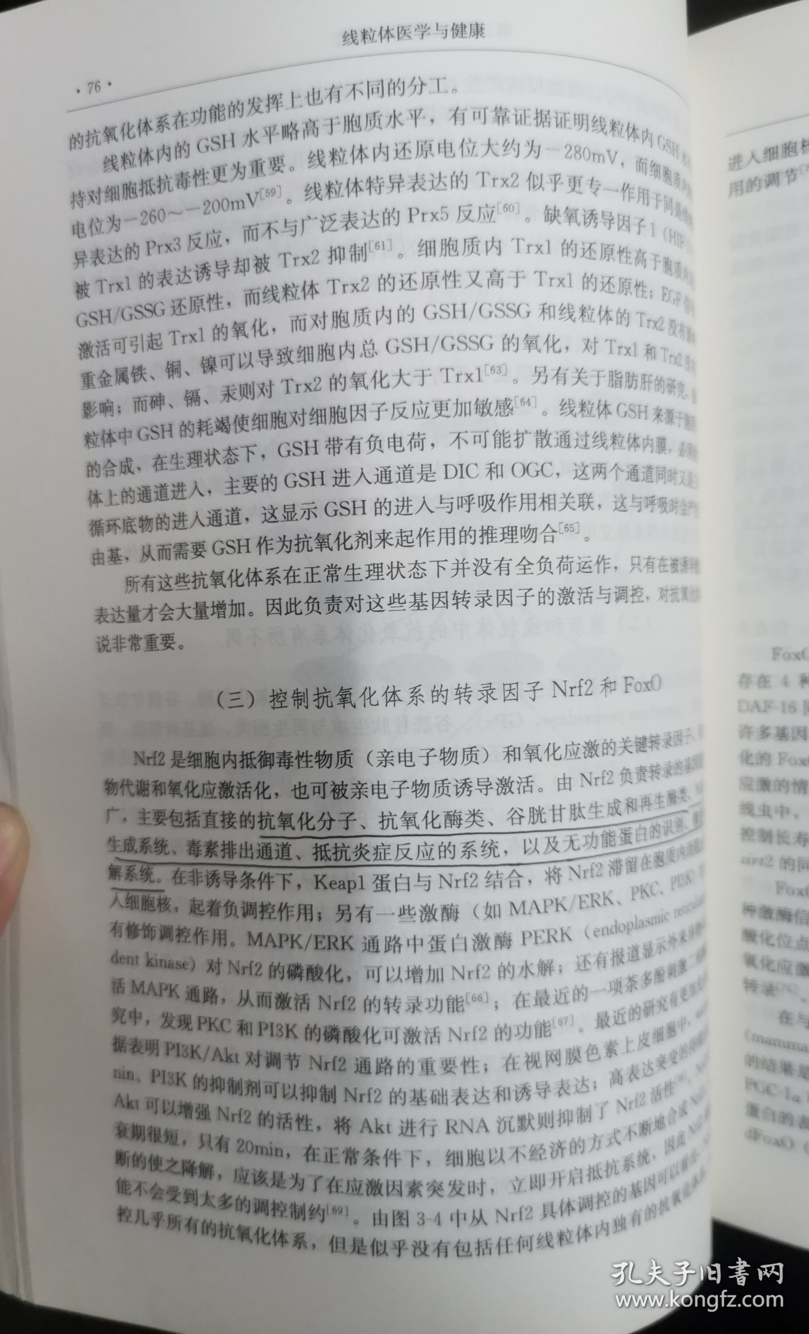 疾病与生命科学前沿研究丛书：线粒体医学与健康 （正版书实拍请买者仔细看图片下单后请保持在线）