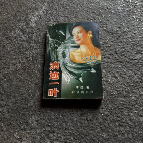 浪迹一叶 1990年