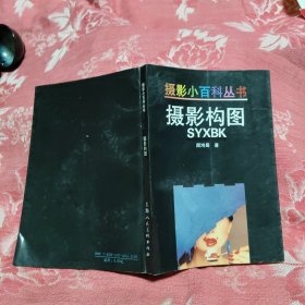 摄影构图，13.45元包邮，