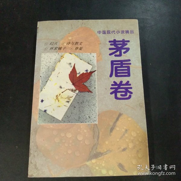 中国现代小说精品.茅盾卷