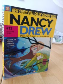 Nancy Drew: Doggone Town》 《南?！さ卖敚簱v蛋鎮(zhèn)謎案》）