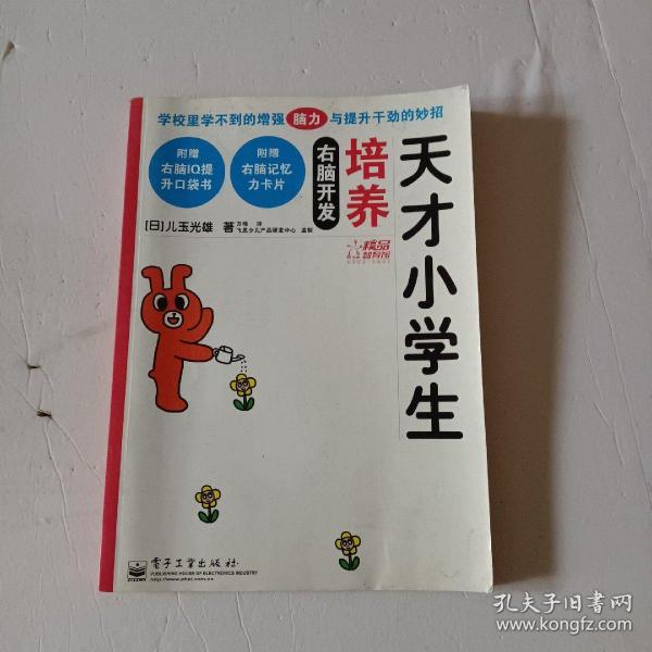 飞思精品智育馆：右脑开发养育天才儿童