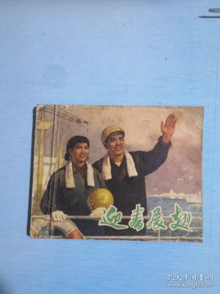 迎春展翅