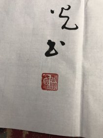 王汉光，瀚海控股集团董事长