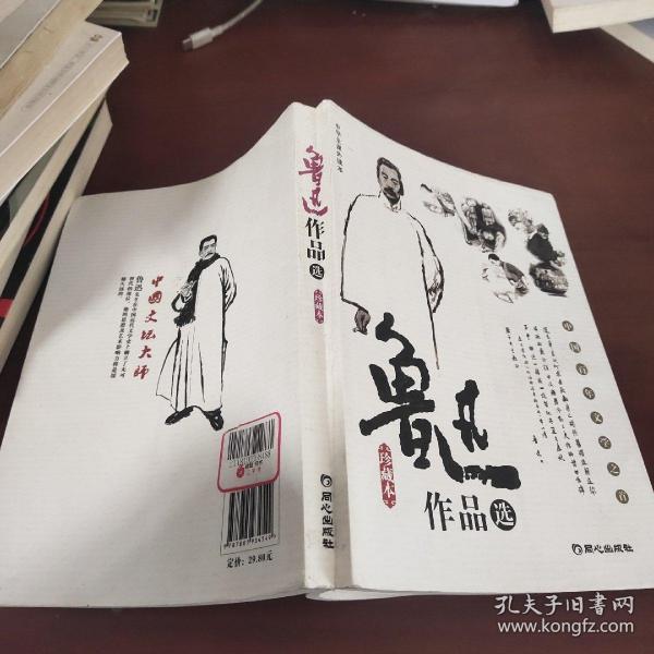 鲁迅作品选：小说·散文集 论文·杂文集