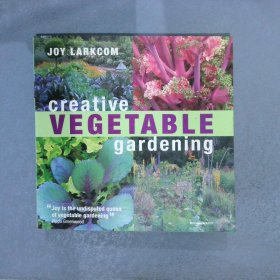 CREATIVE  VEGETABLE  GARDENING  创意蔬菜园艺