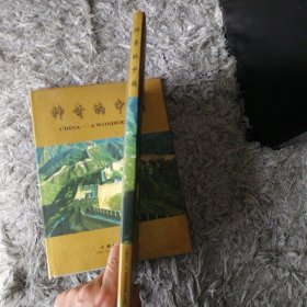 神奇的中国 邮票纪念册（整套，不缺）