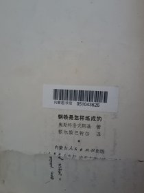 069钢铁是怎样炼成的长篇旧书