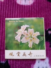 观赏花卉 上海植物园