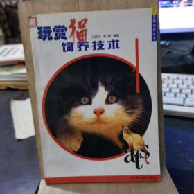 玩赏猫饲养技术