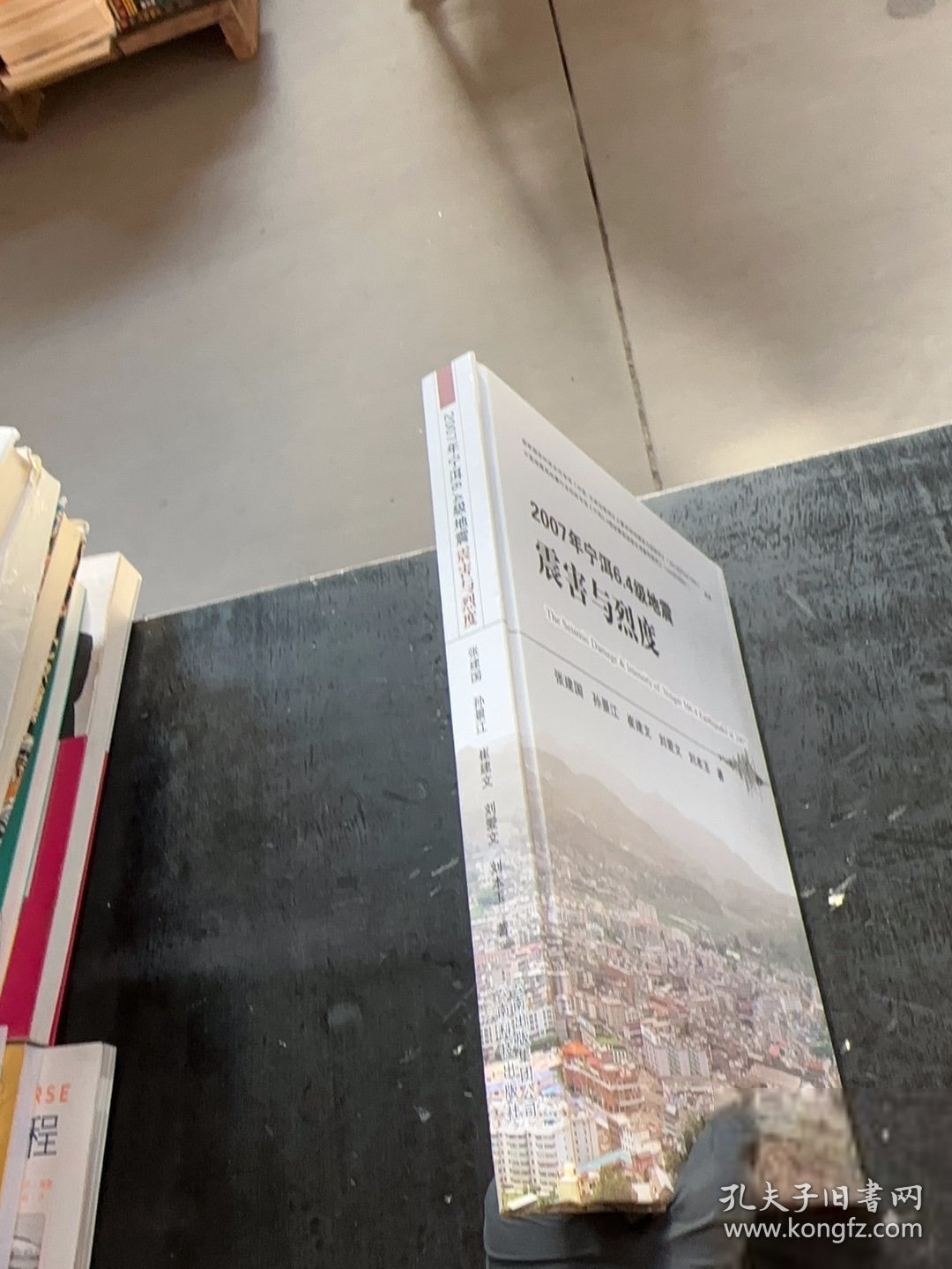 2007年宁洱6.4级地震震害与烈度