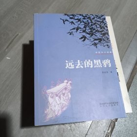 远去的黑鸦 : 苏冠华小说集