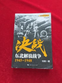 解放战争系列丛书 决战：东北解放战争