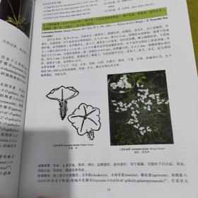 中国药用植物志（第八卷）（国家出版基金项目）