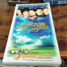 电视剧 流星花园 20VCD 20碟装VCD【超长浓缩版】