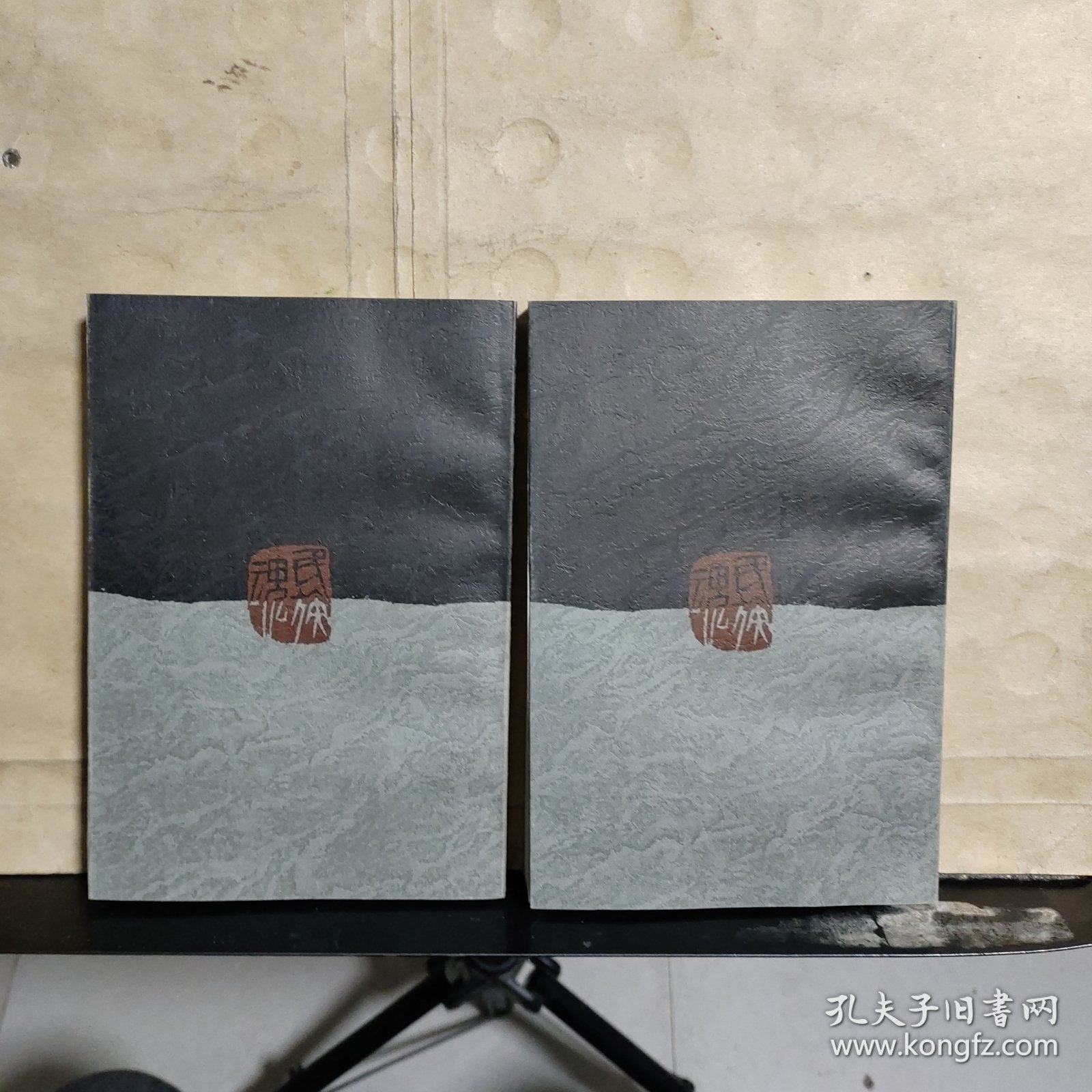 鲁迅回忆录 专著（上中册）