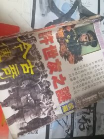 许世友之谜（今古传奇）