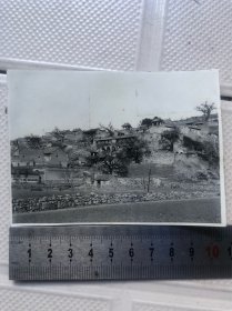 少见题材老照片（特殊标语）