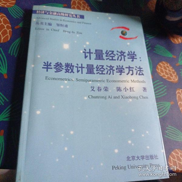 计量经济学：半参数计量经济学方法——经济与金融高级研究丛书