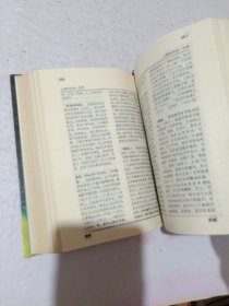 西方现代艺术词典