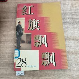 红旗飘飘28