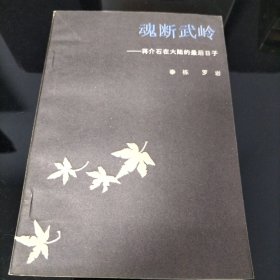 魂瑰断武岭