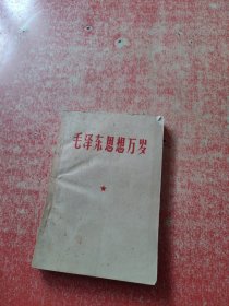 毛泽东思想万岁 1967年