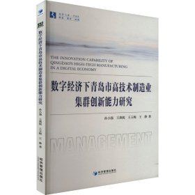 数字经济下青岛市高技术制造业集群创新能力研究