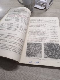 微生物学及寄生虫学