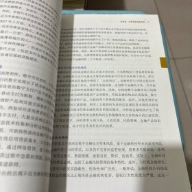 全球视野下的中国普惠金融：实践、经验与挑战