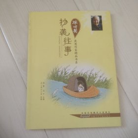 冰心奖获奖作家精品书系.抄袭往事