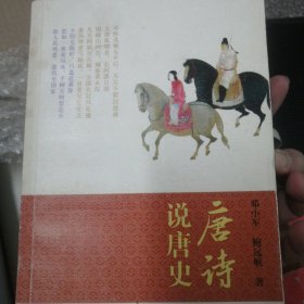 唐诗说唐史