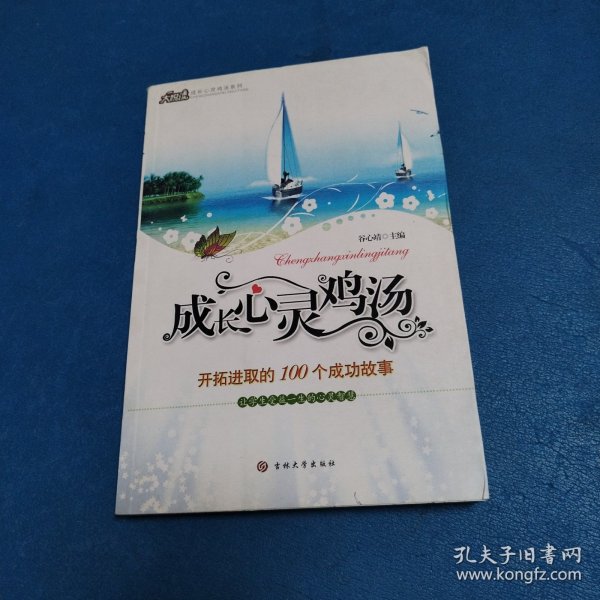 心灵鸡汤-开拓进取的100个成功故事