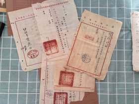 材91：公函一宗