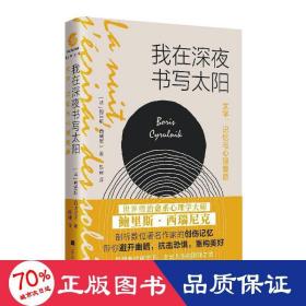 我在深夜书写太阳——文字、记忆与心理复原