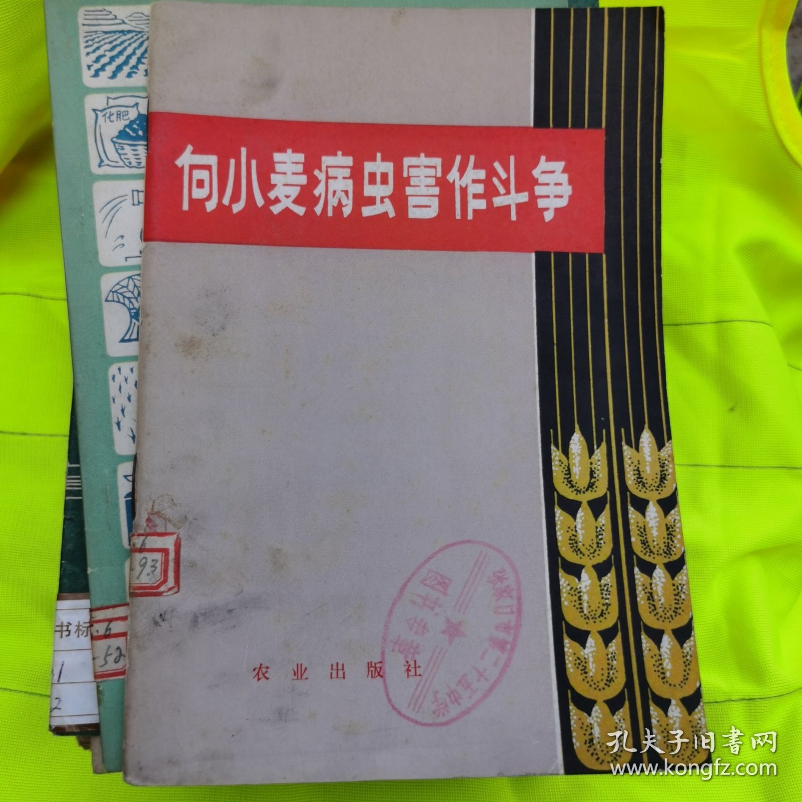 向小麦病虫害作斗争