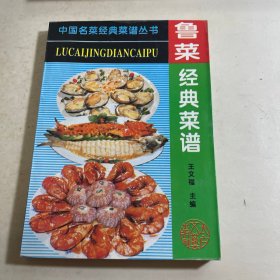 中国名菜经典菜谱丛书