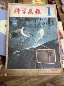 科学画报1982年1-12期合售