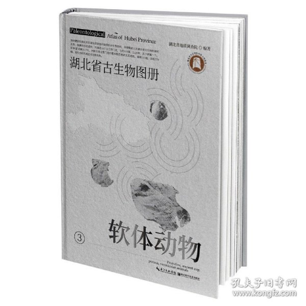 湖北省古生物图册(3软体动物)(精)