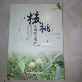 核桃實(shí)用技術(shù)圖解