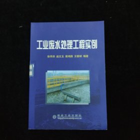 工业废水处理工程实例