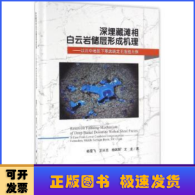 深埋藏滩相白云岩储层形成机理：以川中地区下寒武统龙王庙组为例