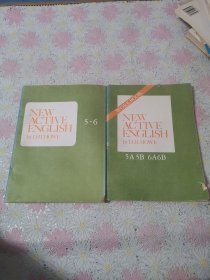 NEW ACTIVE ENGLISH 5-6+:workbook(5A5B 6A6B)（二本合售）