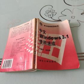 中文Windows 3.1使用速成