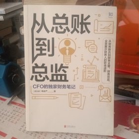 从总账到总监：CFO的独家财务笔记