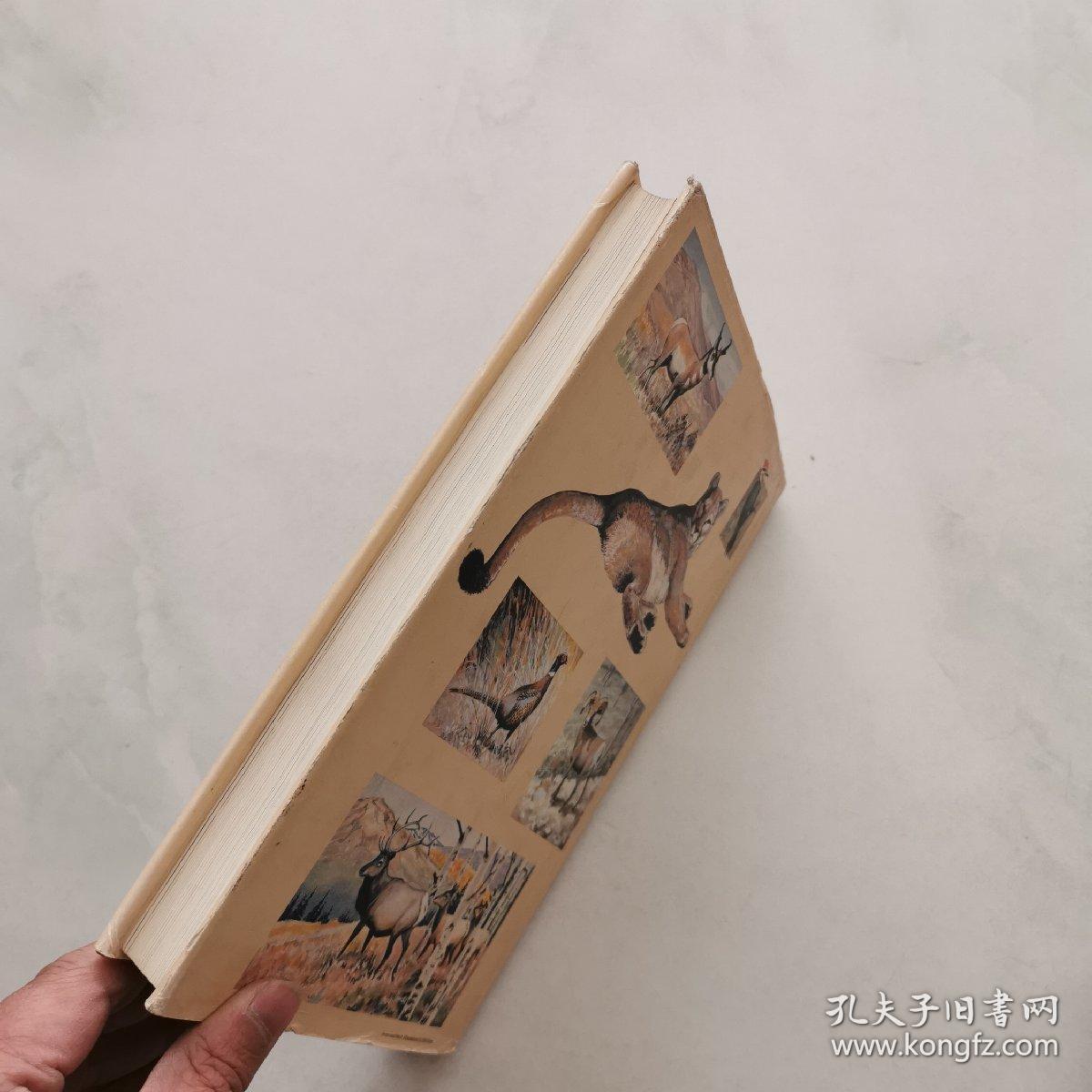 Restoring America s Wildlife1937-1987 （16开精装） 货号EE3