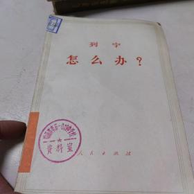 怎么办？（文库本）